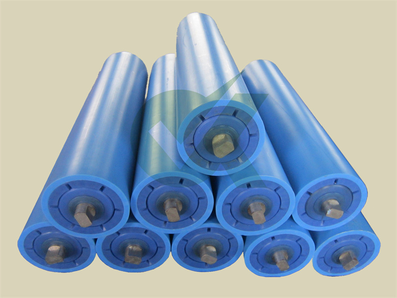 Industrial Plastic Conveyor Belt Roller04
